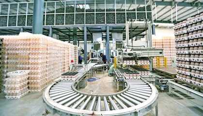 萬盛加快農(nóng)業(yè)農(nóng)村現(xiàn)代化 以獼猴桃銷售推動鄉(xiāng)村全面振興