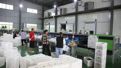 修文縣首個即食獼猴桃加工中心建成投用，開啟獼猴桃產業發展新篇章